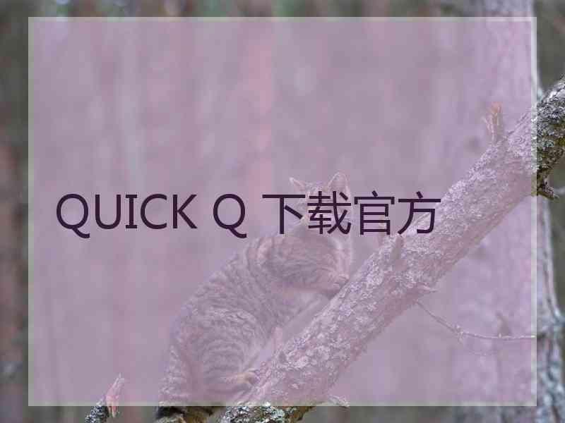 QUICK Q 下载官方