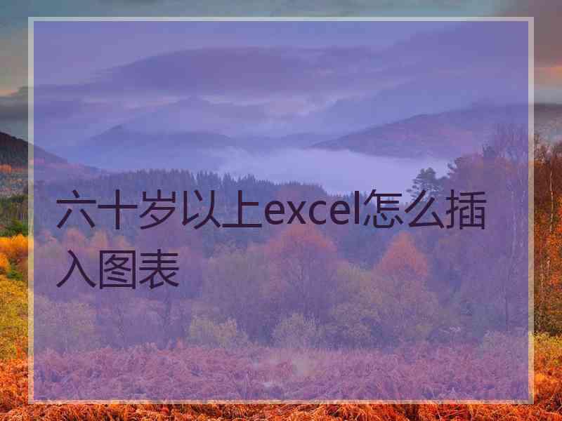 六十岁以上excel怎么插入图表