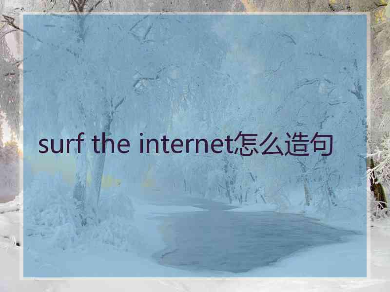 surf the internet怎么造句