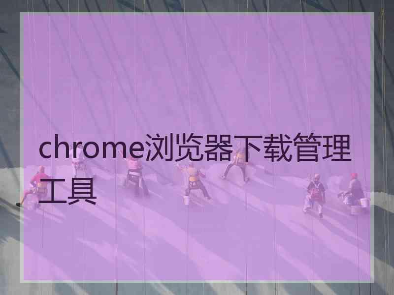 chrome浏览器下载管理工具