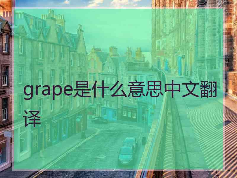 grape是什么意思中文翻译