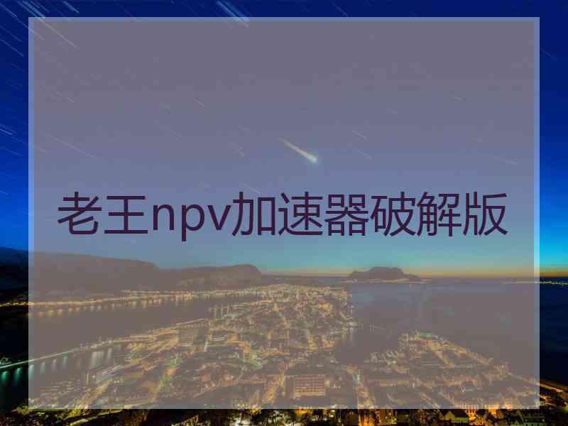 老王npv加速器破解版