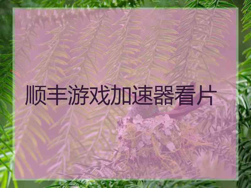 顺丰游戏加速器看片