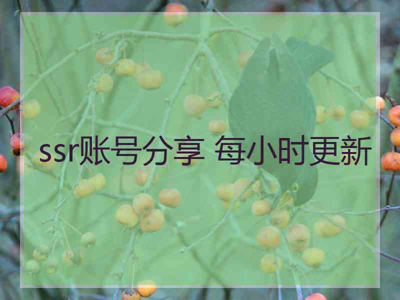 ssr账号分享 每小时更新