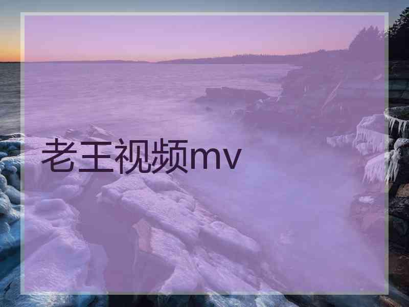 老王视频mv