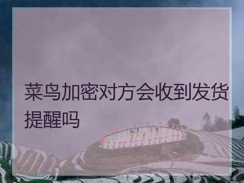 菜鸟加密对方会收到发货提醒吗