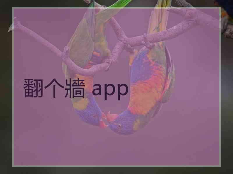 翻个牆 app