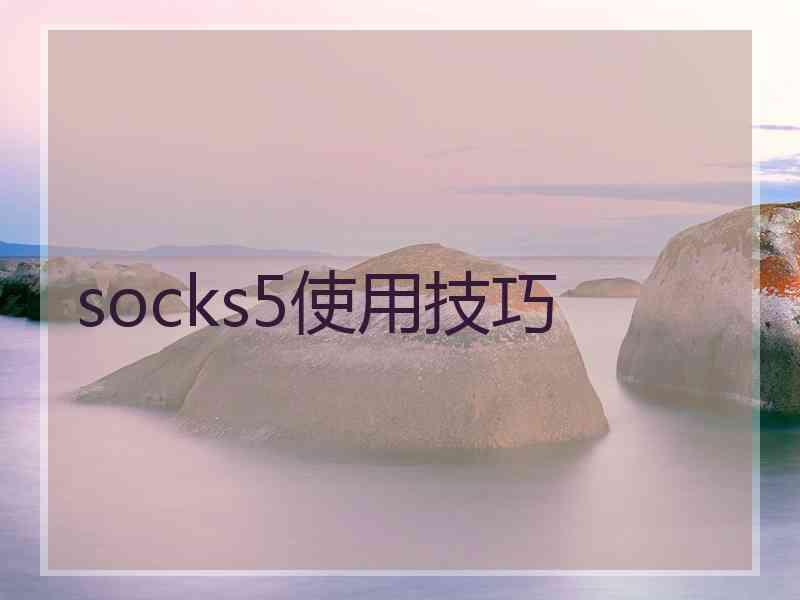 socks5使用技巧