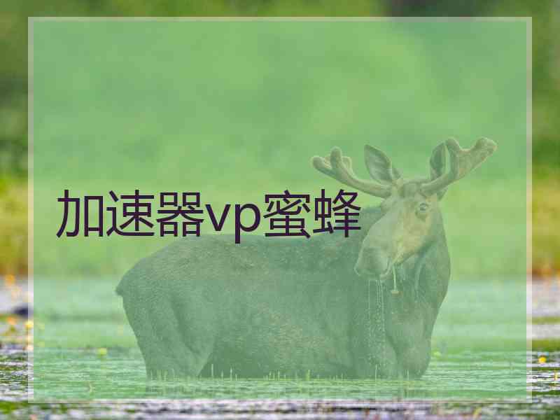 加速器vp蜜蜂