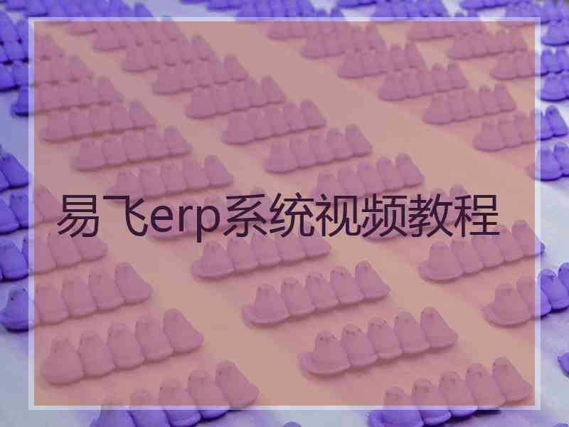 易飞erp系统视频教程