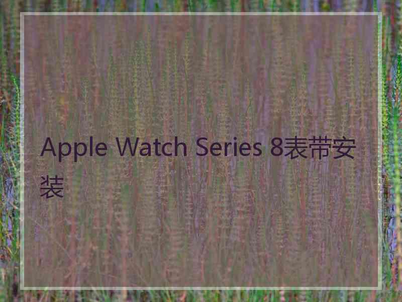 Apple Watch Series 8表带安装