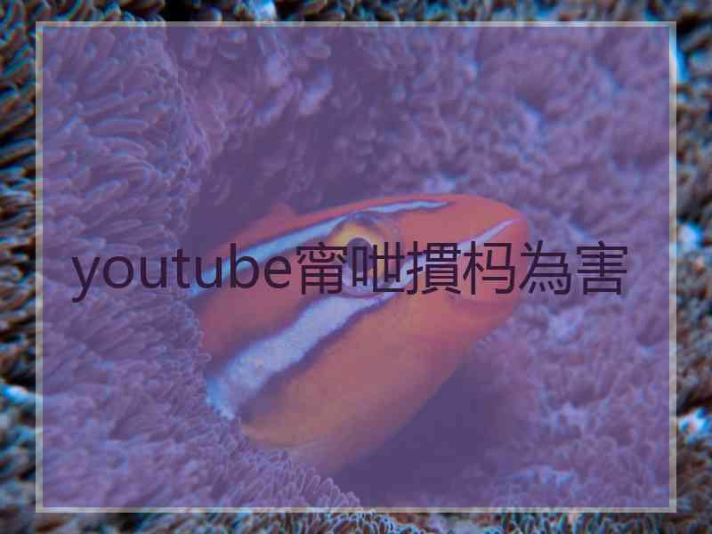 youtube甯呭摜杩為害