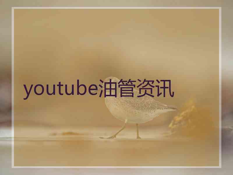 youtube油管资讯