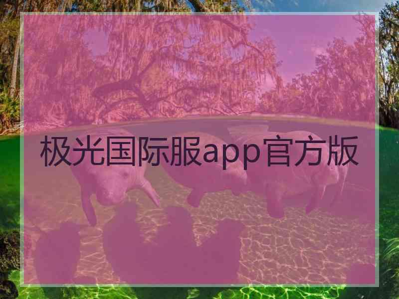 极光国际服app官方版