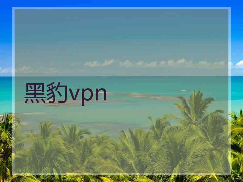 黑豹vpn