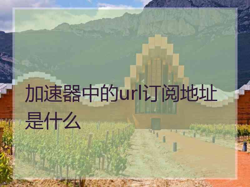 加速器中的url订阅地址是什么