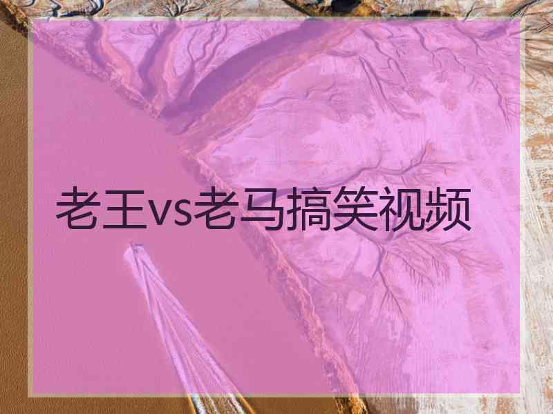 老王vs老马搞笑视频