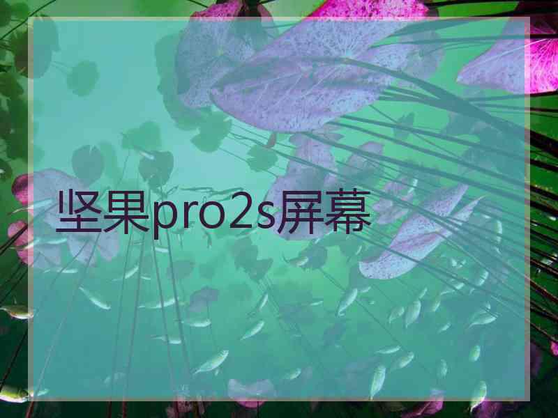 坚果pro2s屏幕