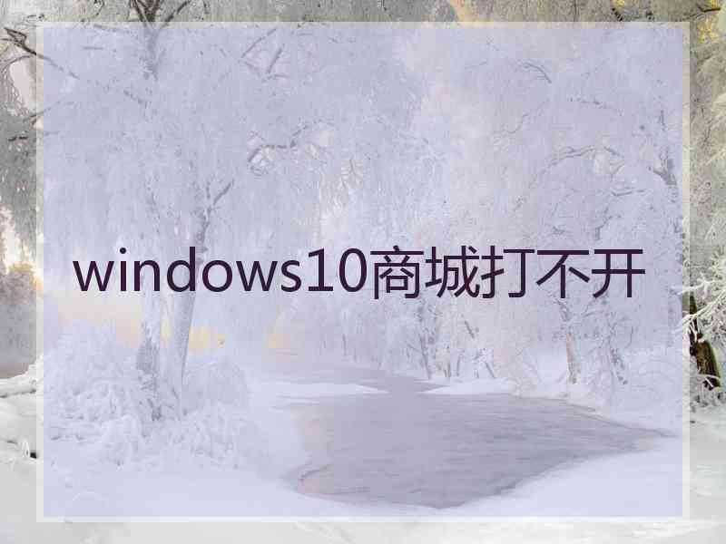 windows10商城打不开