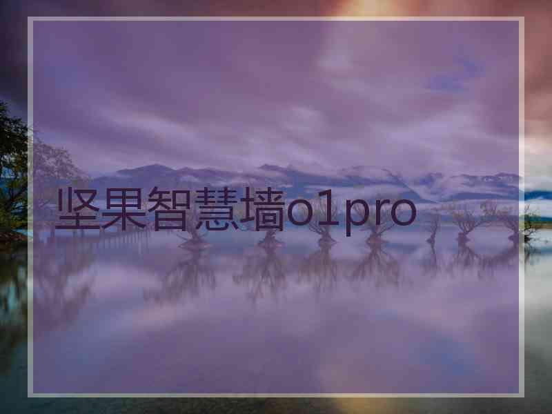 坚果智慧墙o1pro