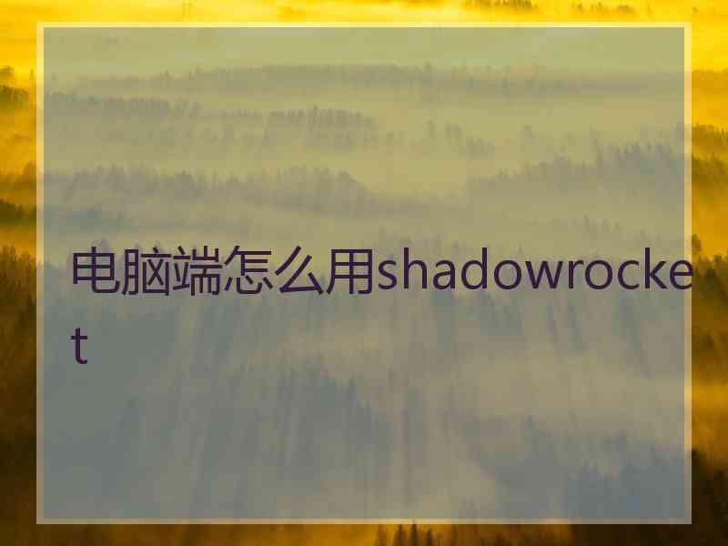 电脑端怎么用shadowrocket