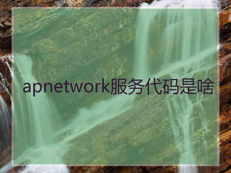 apnetwork服务代码是啥