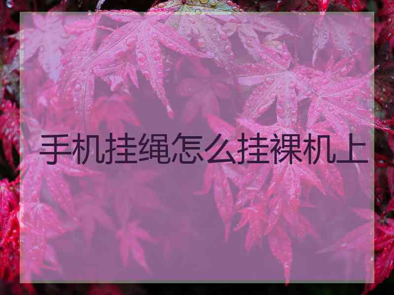 手机挂绳怎么挂裸机上