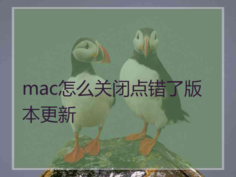 mac怎么关闭点错了版本更新