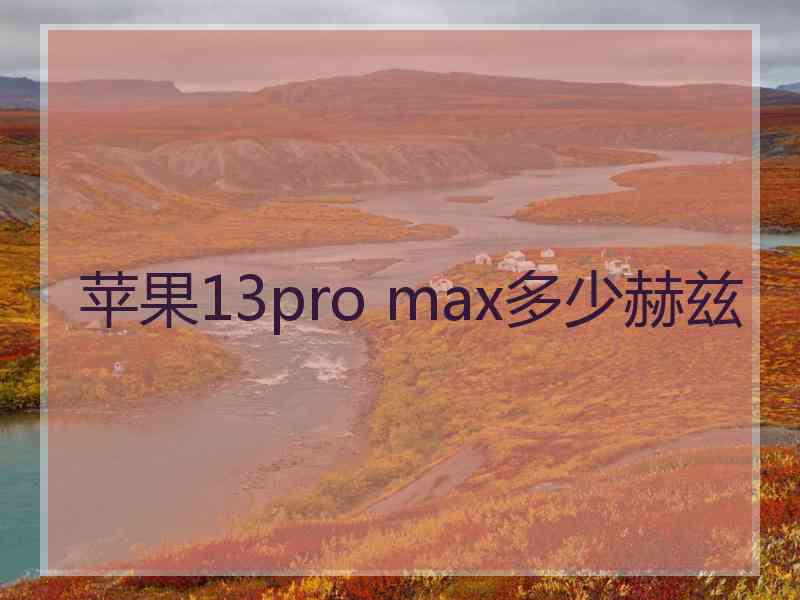 苹果13pro max多少赫兹