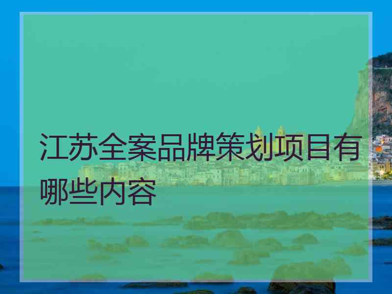 江苏全案品牌策划项目有哪些内容