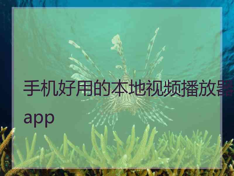 手机好用的本地视频播放器app