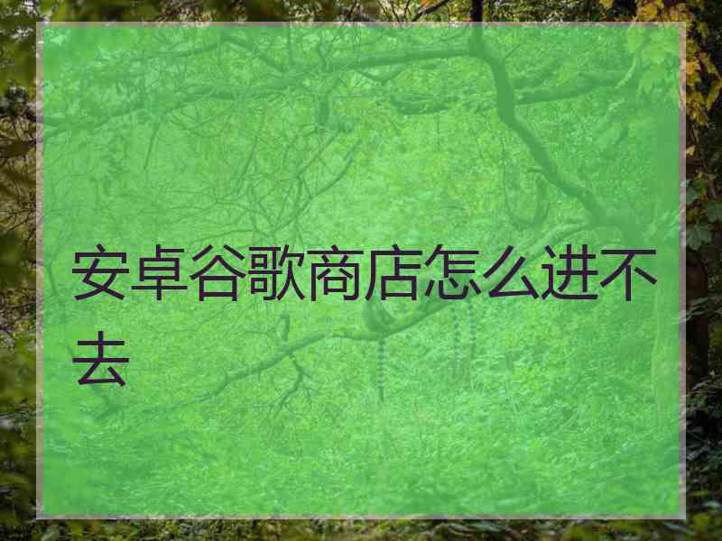 安卓谷歌商店怎么进不去