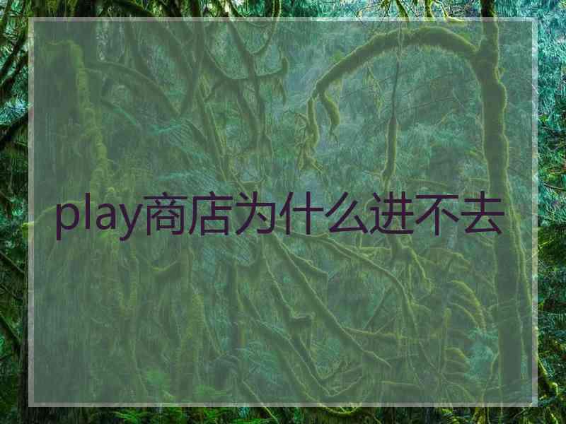 play商店为什么进不去