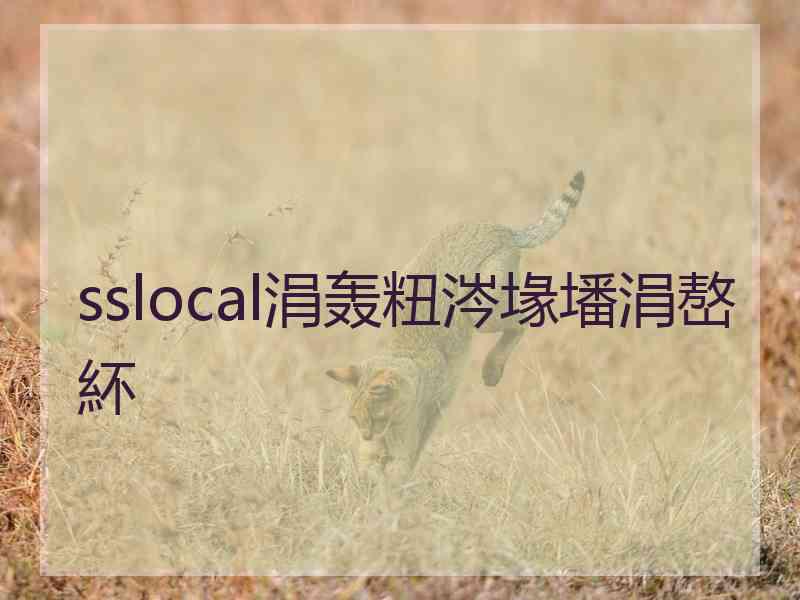 sslocal涓轰粈涔堟墦涓嶅紑