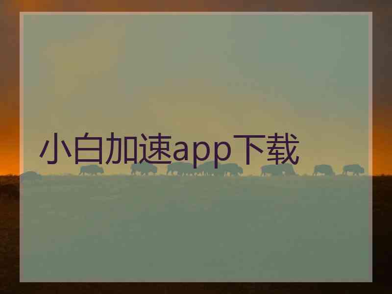 小白加速app下载