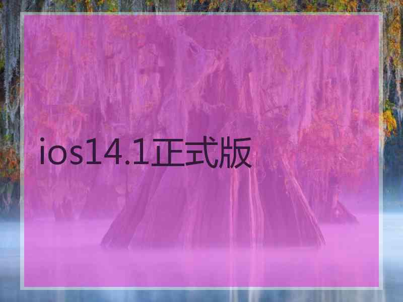 ios14.1正式版