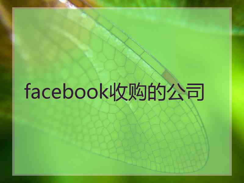 facebook收购的公司