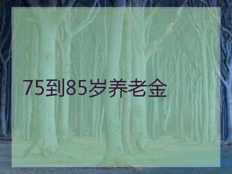 75到85岁养老金