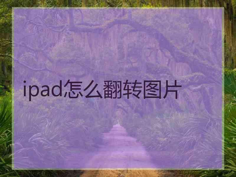 ipad怎么翻转图片