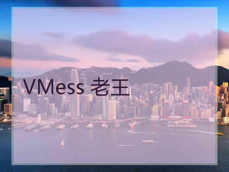 VMess 老王