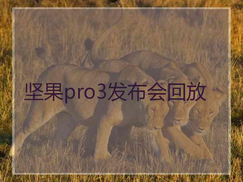 坚果pro3发布会回放