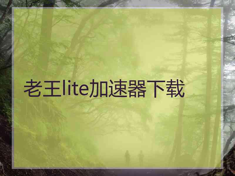 老王lite加速器下载