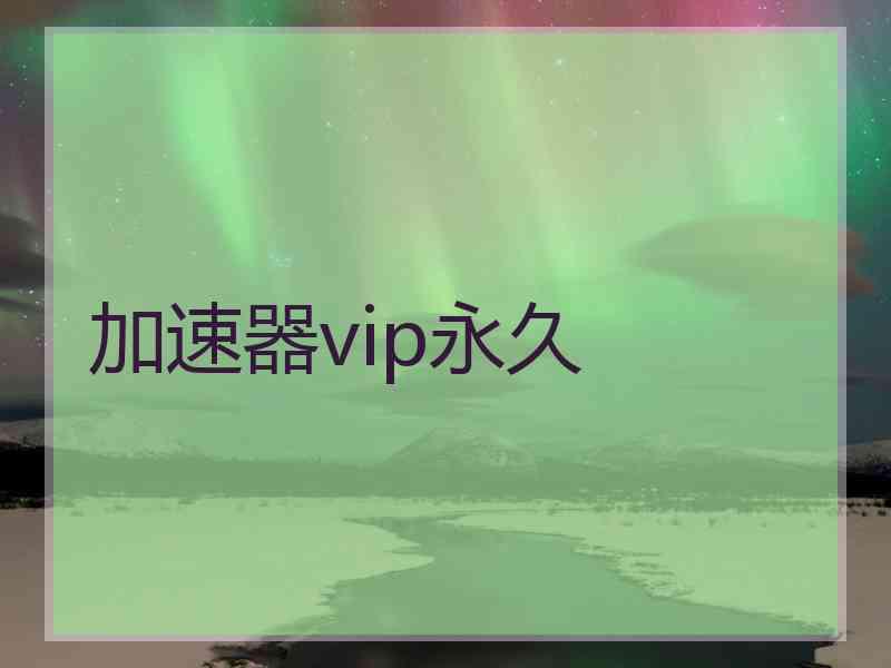 加速器vip永久