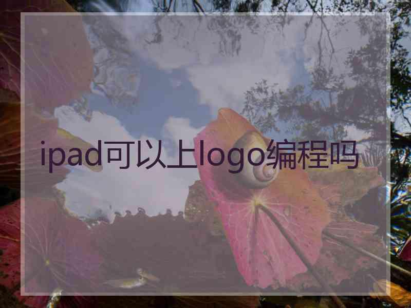 ipad可以上logo编程吗