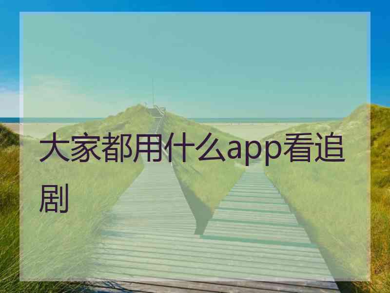 大家都用什么app看追剧