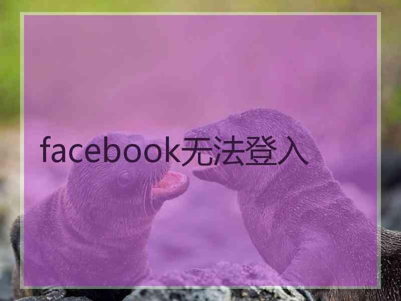 facebook无法登入