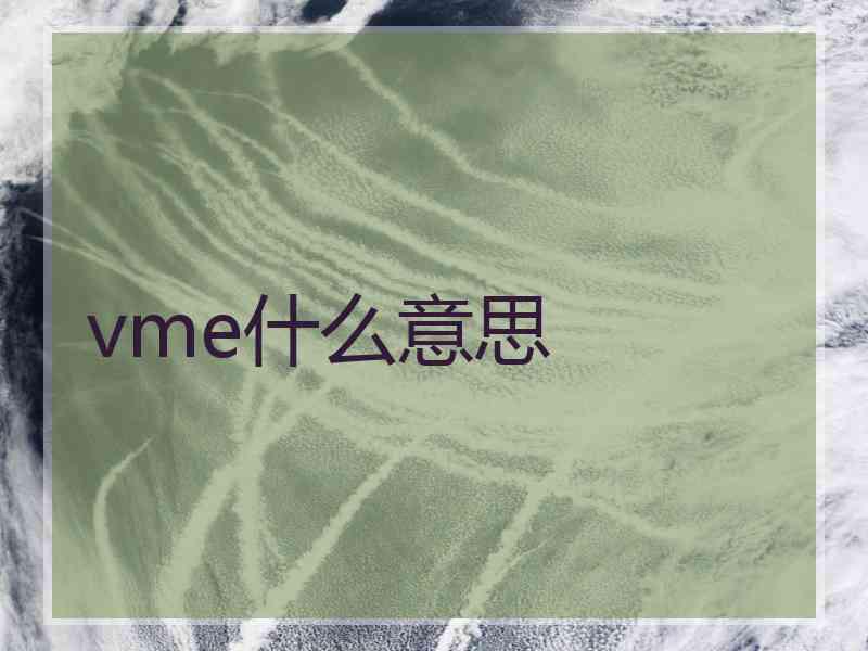 vme什么意思