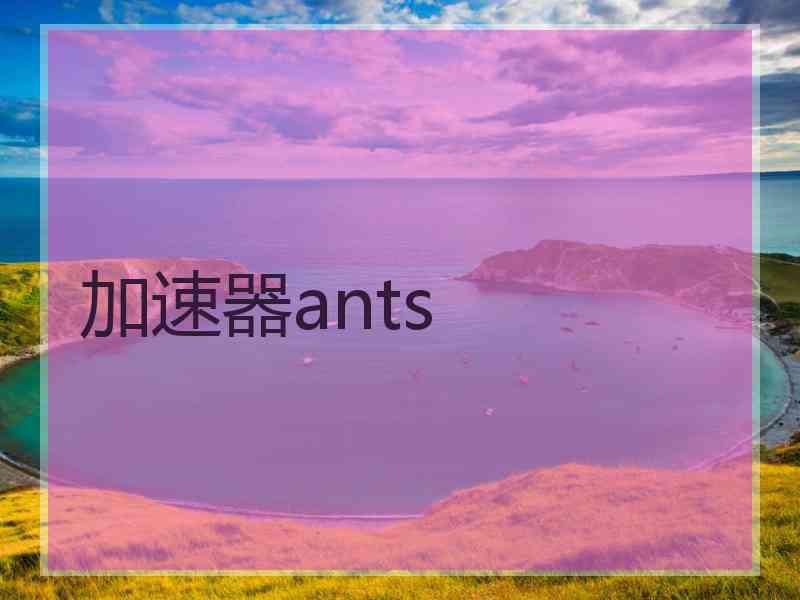 加速器ants