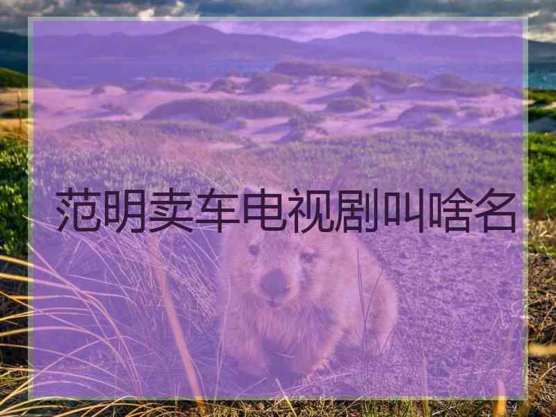 范明卖车电视剧叫啥名