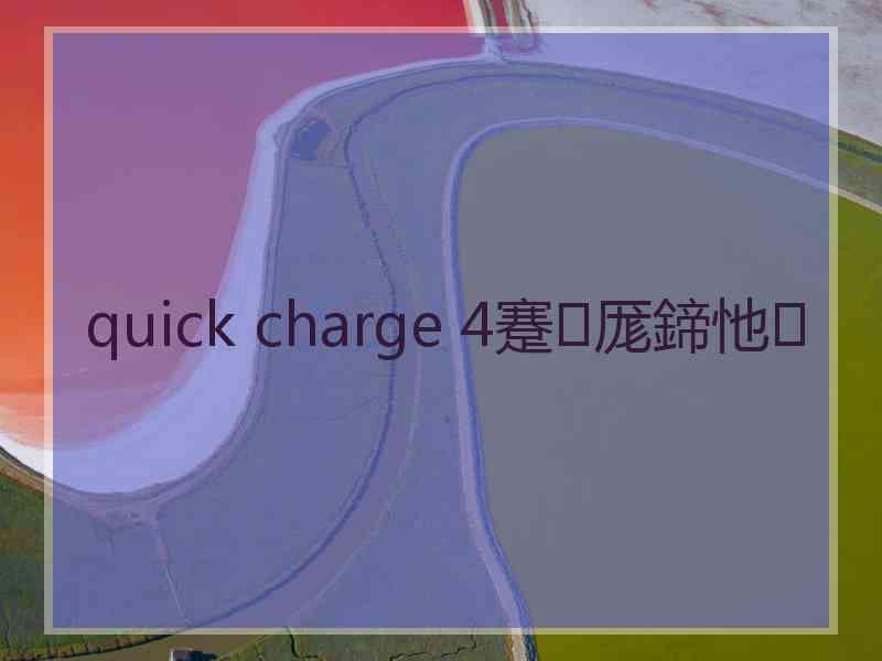 quick charge 4蹇厖鍗忚